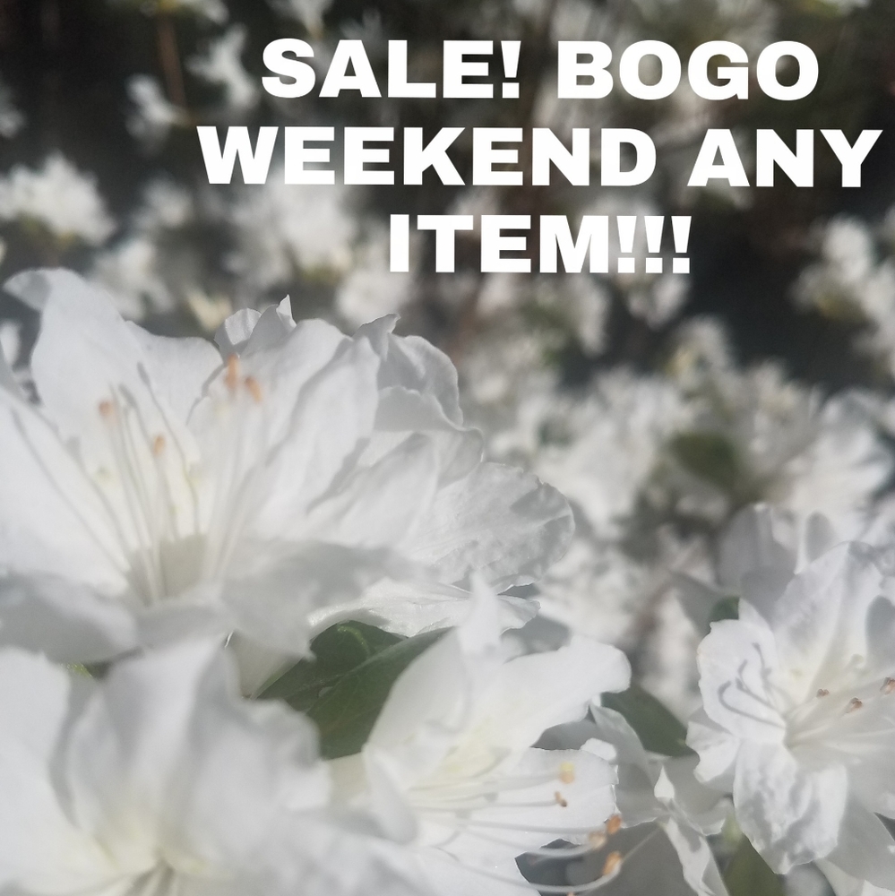 BOGO WEEKEND SALE